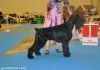 pics/thumbs/54/th_4fb6fa8912b8d.jpg