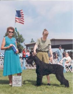 picture of dog