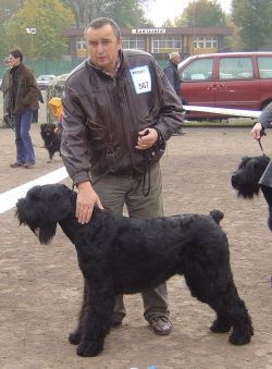 picture of dog