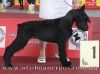 Otis Boanergos Sensaziya